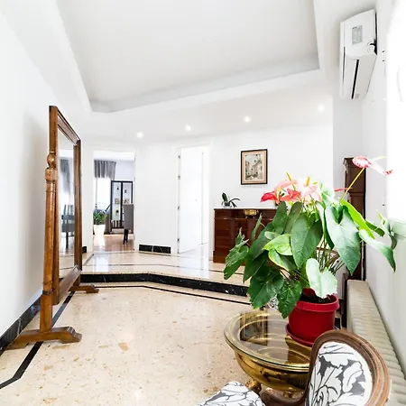 Neptuno Atico, Con Terraza